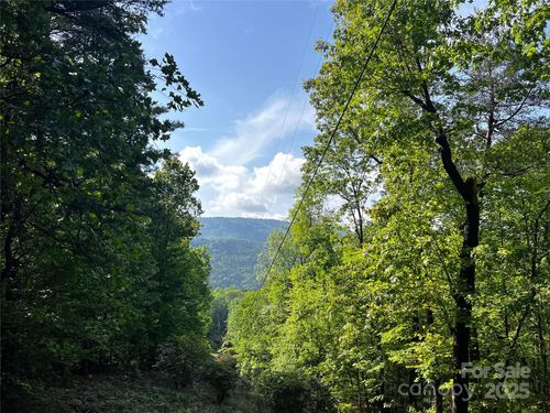 16r-Lot 16 Arrowhead Rd, Brevard, NC, 28712 | Card Image