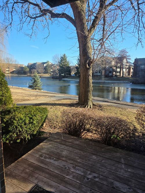 apt-1-913 Casey Ct, Schaumburg, IL, 60173-5240 | Card Image