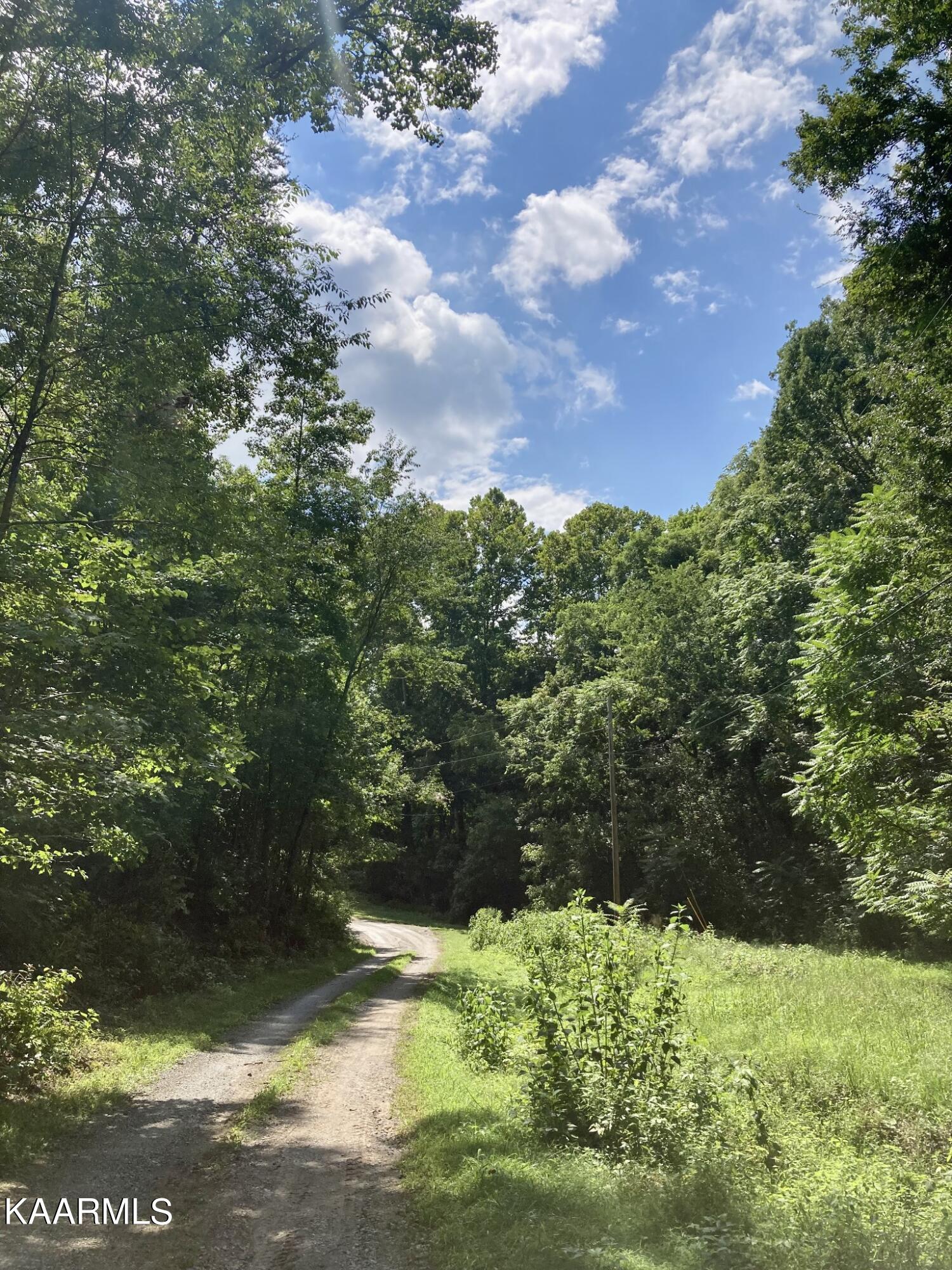 Land in Spring City 4