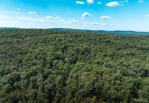 1 Buck Mountain Rd, Doe Run, MO, 63637 | Card Image