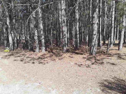 12380 Pine Mesa Dr, Stanwood, MI, 49346-9774 | Card Image