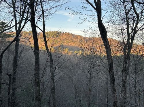 60 Pine Cone Ct, Sapphire, NC, 28774-4500 | Card Image