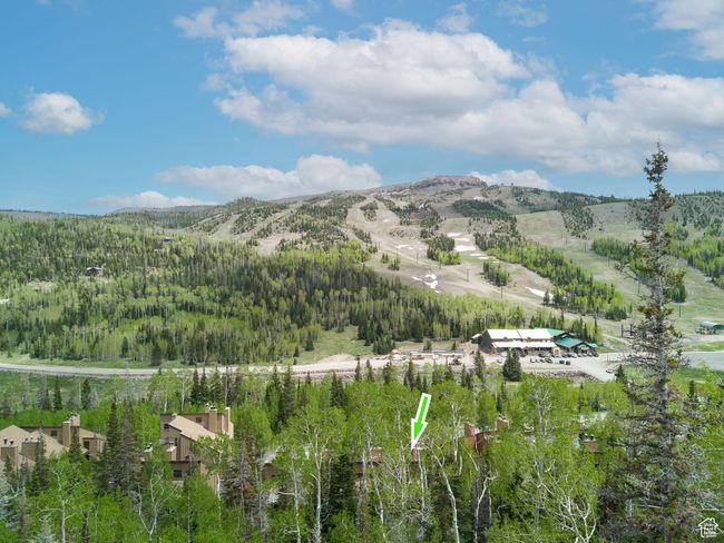 View of mountain backdrop featuring a heavily wooded area | Image 29