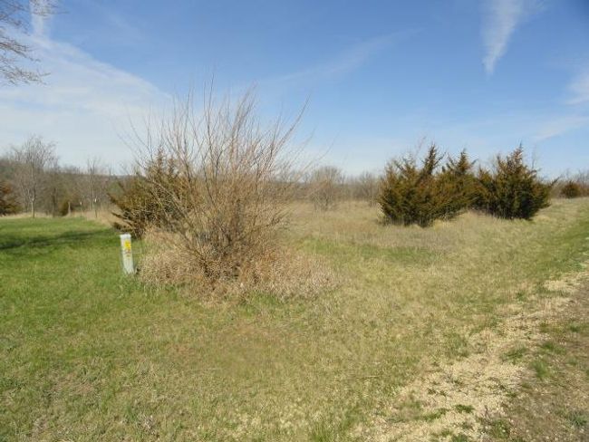 10.45 Acres Ringhand Rd, Home with 0 bedrooms, 0 bathrooms and null parking in SYLVESTER WI | Image 14