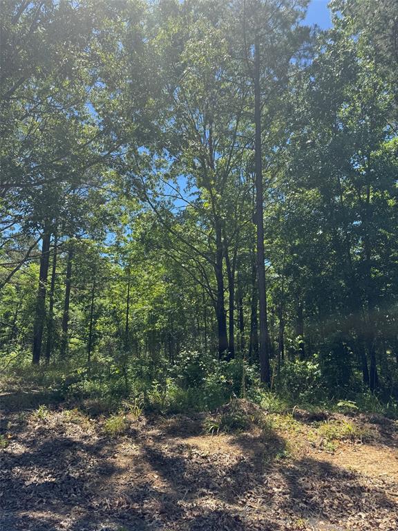 Land in Watson 4