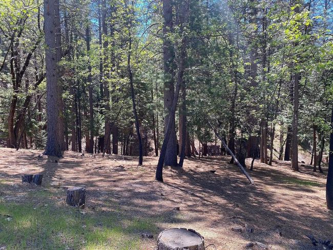 5701 Lupin Lane, Home with 0 bedrooms, 0 bathrooms and null parking in Pollock Pines CA | Image 18