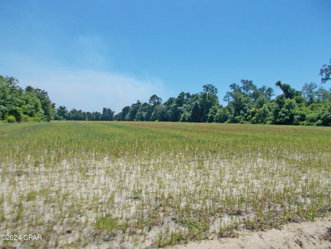 2 Ac Melon Lane, House other with 1 bedrooms, 1 bathrooms and null parking in Grand Ridge FL | Image 5