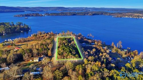 5.58 ac Rachel Drive, Langston, AL, 35755 | Card Image