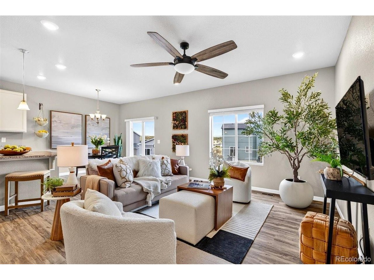 Residential in Castle Rock 2
