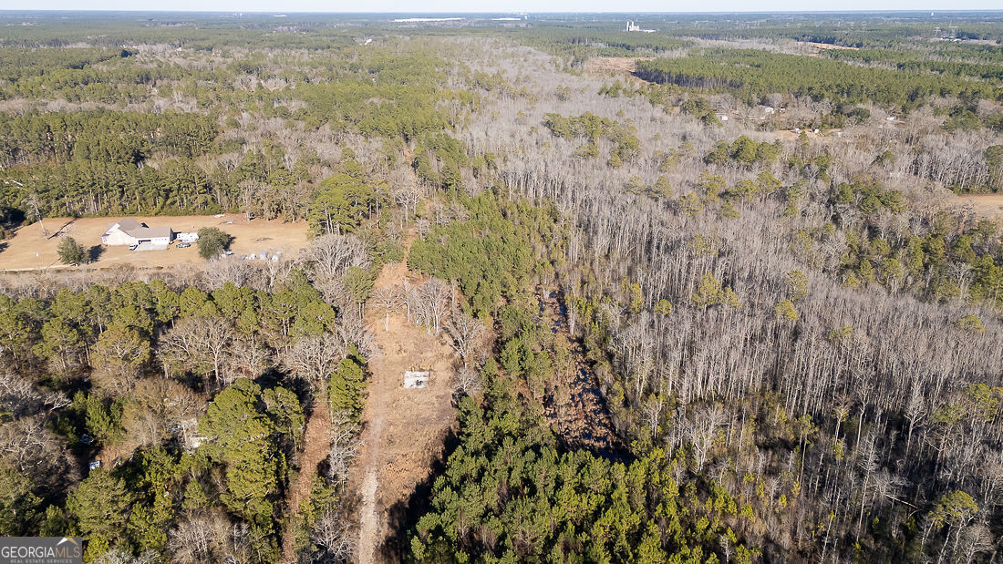 Land in Guyton 3