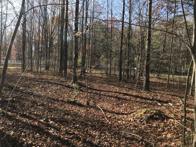 6 Hobbstown Rd, Home with 0 bedrooms, 0 bathrooms and null parking in Dunlap TN | Image 4