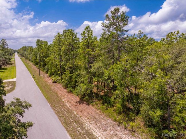 16240 Mount Sparrow Rd, Home with 0 bedrooms, 0 bathrooms and null parking in Weeki Wachee FL | Image 13
