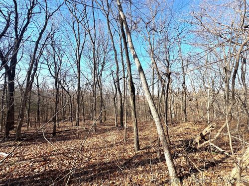 12555 Huckleberry Circle, Rogers, AR, 72756 | Card Image