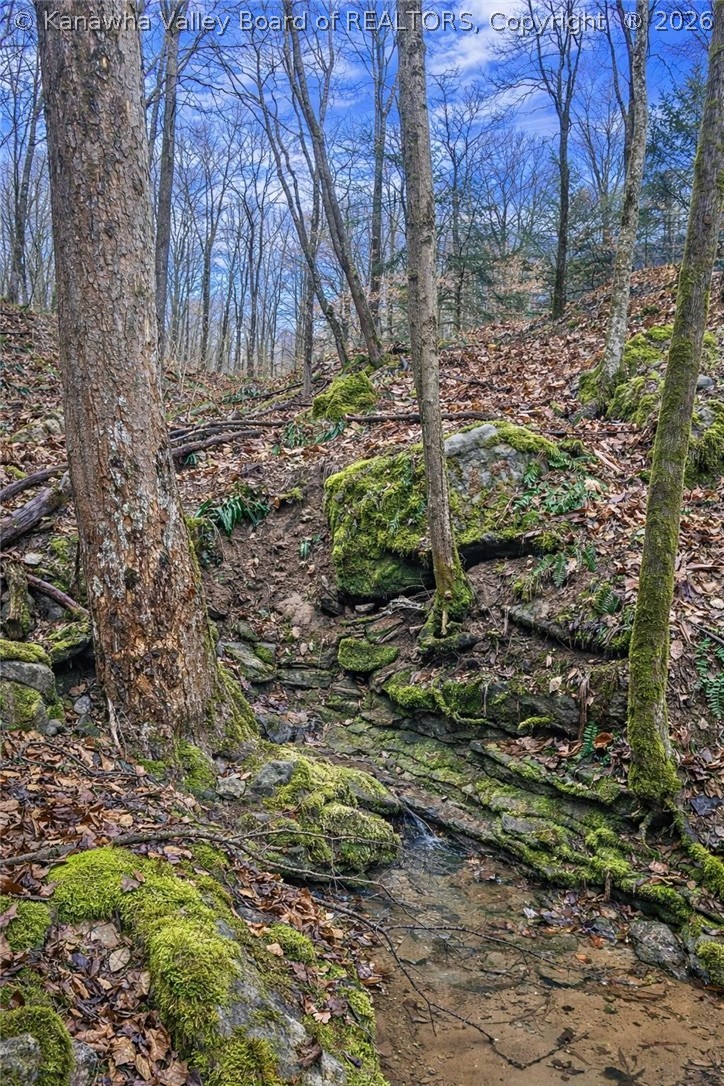 Land in Gandeeville 4