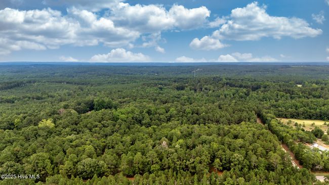 2 - 2099 Carthage Rd, Home with 0 bedrooms, 0 bathrooms and null parking in West End NC | Image 7