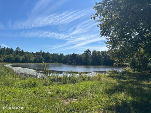 241 Star Lake Way, Deer Lodge, TN, 37726 | Card Image