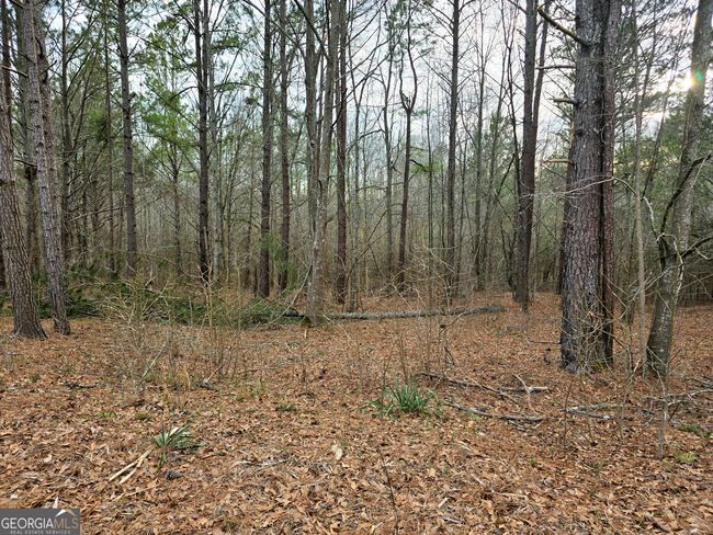0 Willow St, Home with 0 bedrooms, 0 bathrooms and null parking in Stephens GA | Image 10