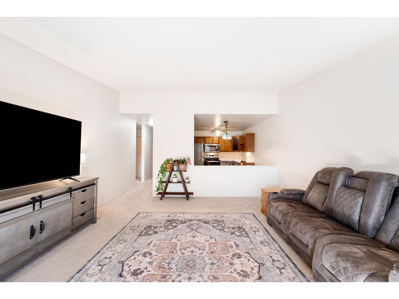 Residential in Denver 5