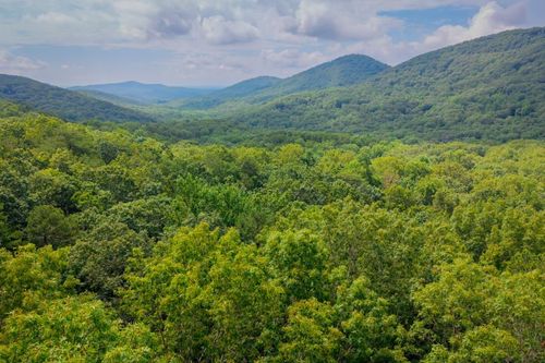 25 Lady Slipper Ct, Big Canoe, GA, 30143-5226 | Card Image