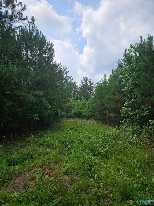 1150 County Road 865, Collinsville, AL, 35961-3008 | Card Image