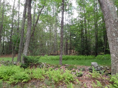 0 Pynchon Rd, Chesterfield, MA, 01012 | Card Image