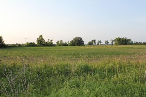 VL Tamarack Rd, Hudson, MI, 49247 | Card Image
