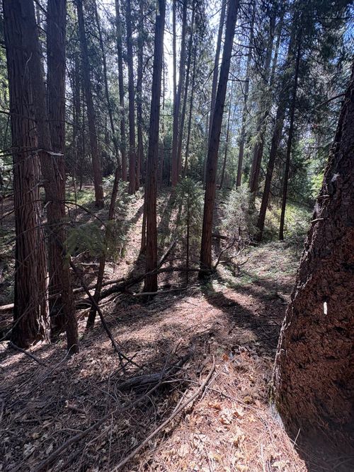 5483 Poor Mans Way, Wilseyville, CA, 95257-9719 | Card Image