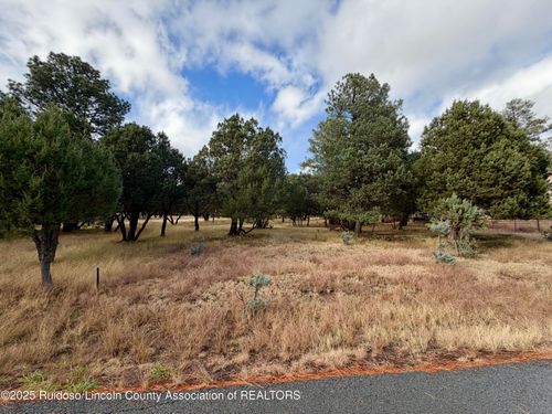 109 Mira Monte Rd, Alto, NM, 88312-8024 | Card Image