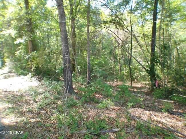 1725 - 00 Christian Life Rd, Home with 0 bedrooms, 0 bathrooms and null parking in Defuniak Springs FL | Image 5