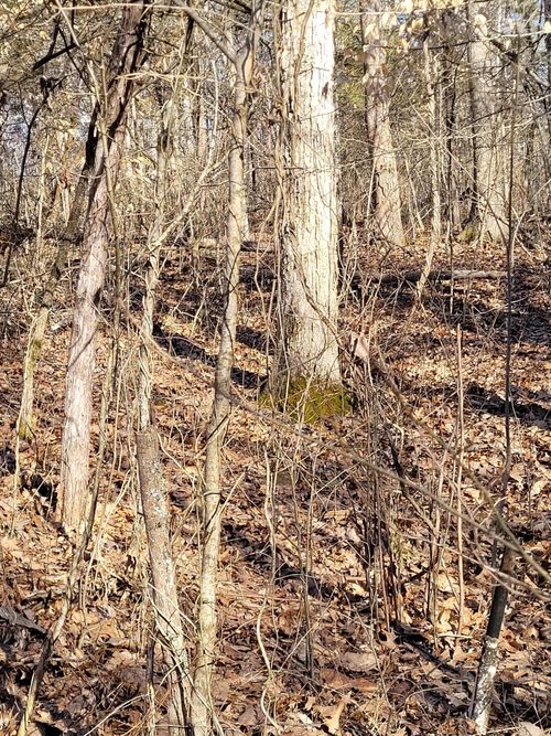 53 Lots 7, 8, Corinth, KY, 41010 | Card Image