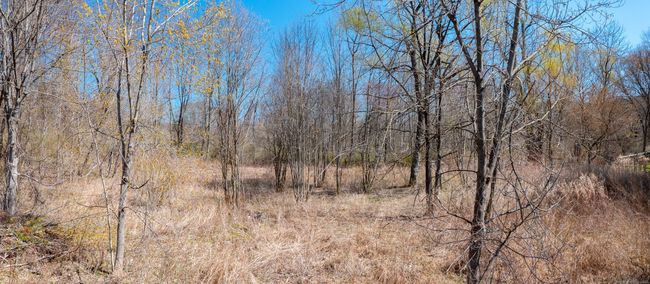 73 Kent Cornwall Rd, House other with 2 bedrooms, 1 bathrooms and 2 parking in Kent CT | Image 11