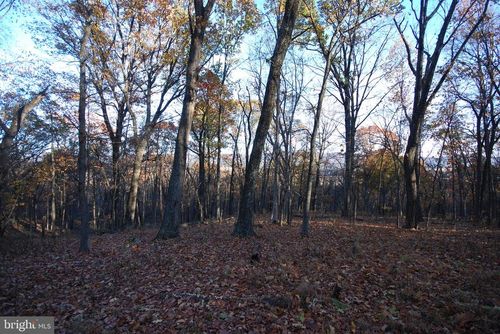 Lot 67 Mill Mountain Road, Romney, WV, 26757 | Card Image