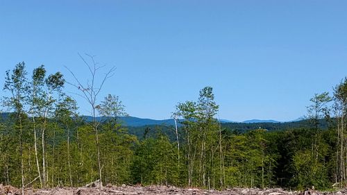 xx Isaac Colby Road, Sanbornton, NH, 03269 | Card Image