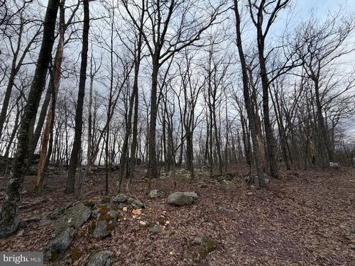 Lot 287.1 Spring Mountain Dr, Zion Grove, PA, 17985 | Card Image