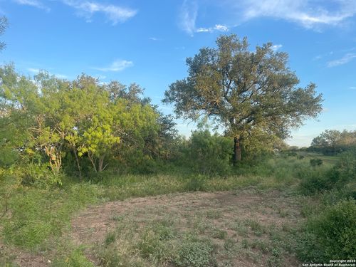 TBD County Road 445, Hondo, TX, 78861 | Card Image