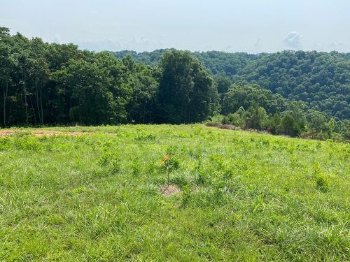 Lot 11 H O Allison Rd, Baxter, TN, 38544 | Card Image