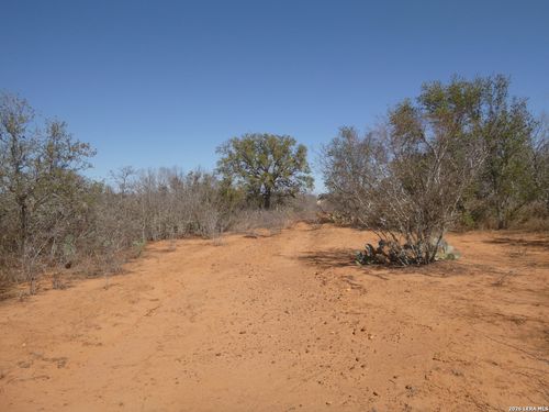 4253 E Fm 462, Moore, TX, 78057 | Card Image