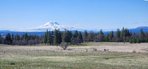 NKA20 Arabian Ct, Centerville, WA, 98613 | Card Image