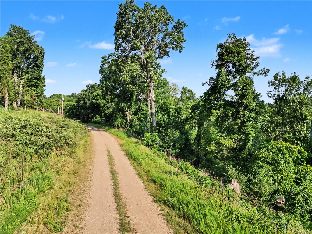 Land in Rogers 4