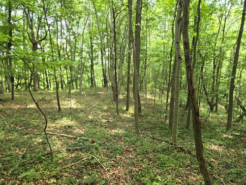 0 Dutch Ridge Rd, Portsmouth, OH, 45662 | Card Image