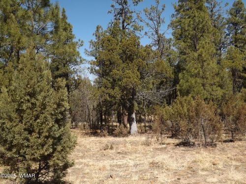 0004Y Parcel 1 Section 31, Overgaard, AZ, 85933 | Card Image