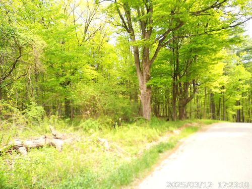 0 Barksdale Rd, Westport, NY, 12993 | Card Image