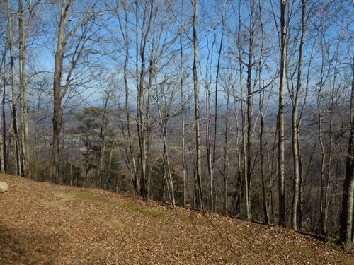 6 Forester Overlook Road, Menlo, GA, 30731 | Card Image