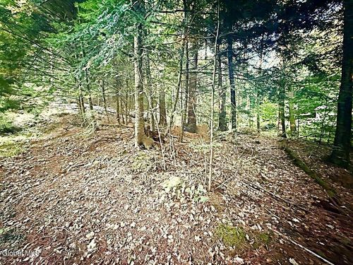 31 Clarkson Rd, Chestertown, NY, 12817 | Card Image