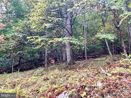 Lot 16 Dewdrop Ln, HEDGESVILLE, WV, 25427 | Card Image