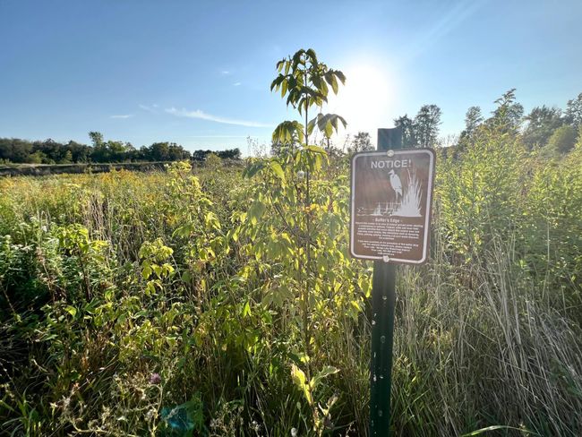 This home's lot gives the best of both worlds: a sizable sodded area, and backing to a conservation easement. | Image 41
