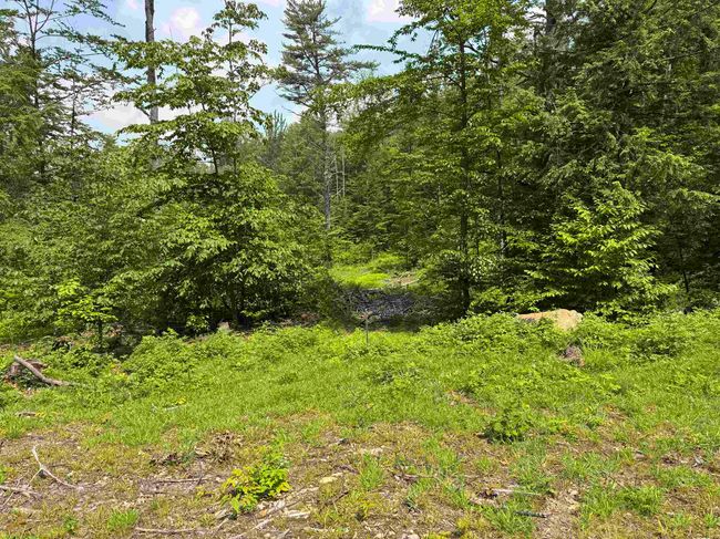 15 Circuit Rd, Home with 0 bedrooms, 0 bathrooms and null parking in Ossipee NH | Image 7