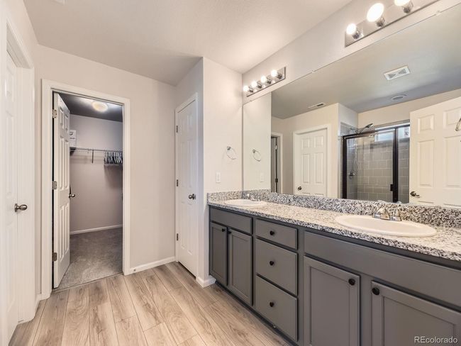 917 White Leaf Cir, House other with 5 bedrooms, 5 bathrooms and null parking in Castle Rock CO | Image 15