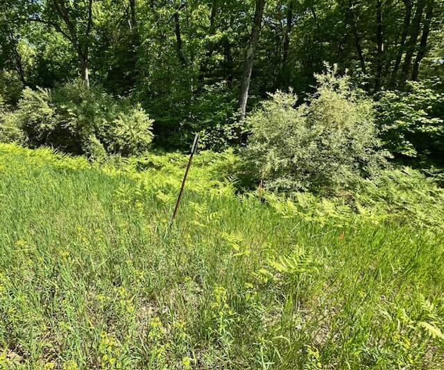 Land in Big Rapids 2