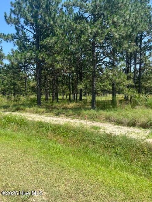 Lot C Shaver Ln, Jackson Springs, NC, 27281 | Card Image